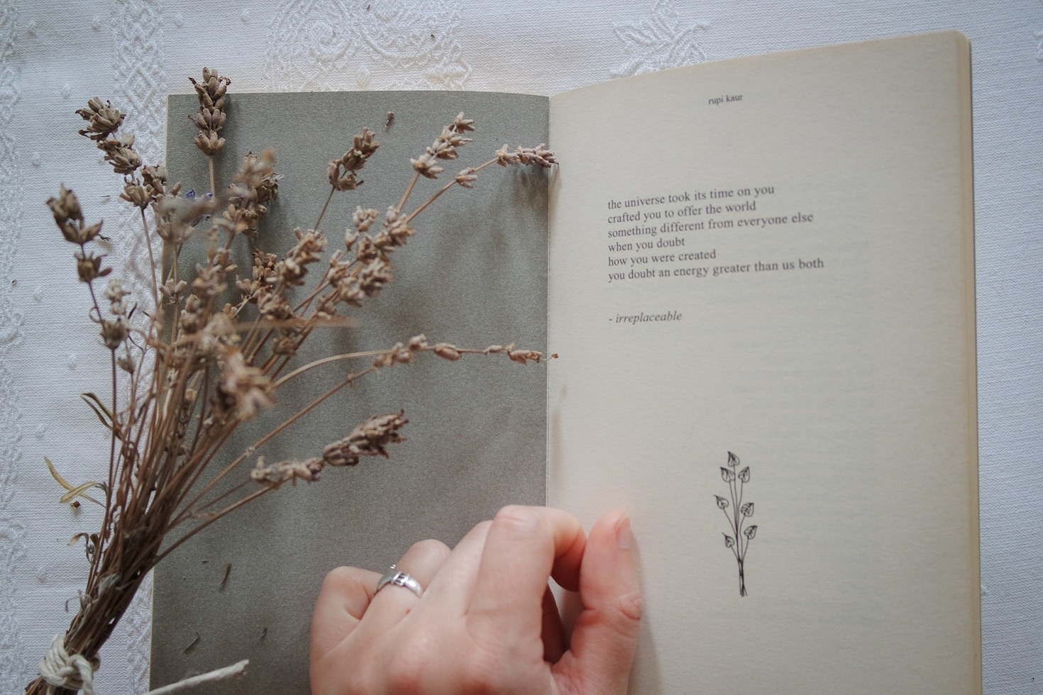 Dan Krahls inspirierende Reise in der Literatur